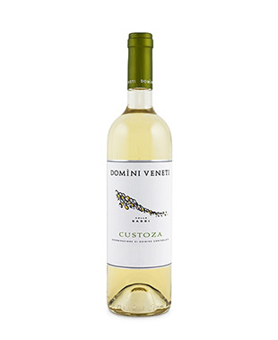 Wein
